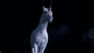 Animated rainbow unicorn
